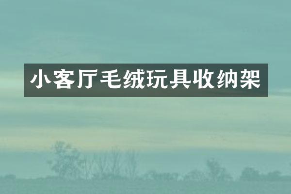 小客厅毛绒玩具收纳架