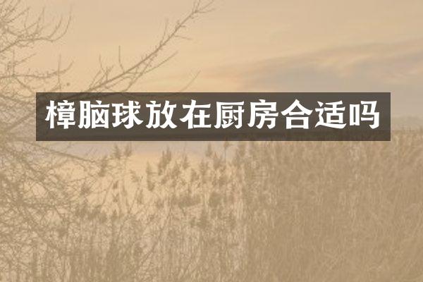 樟脑球放在厨房合适吗