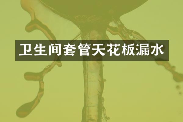 卫生间套管天花板漏水