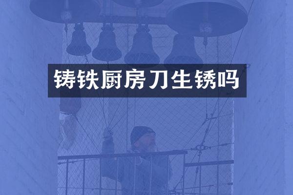 铸铁厨房刀生锈吗