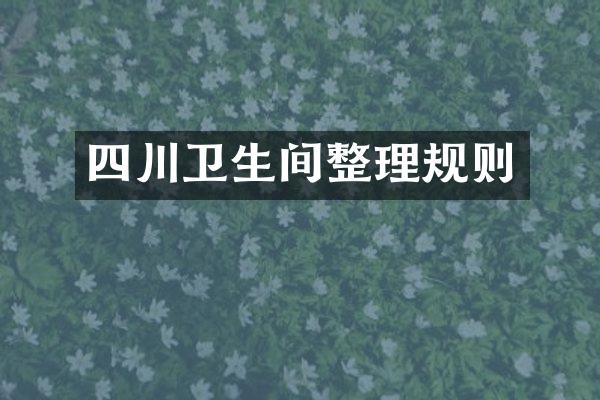 四川卫生间整理规则