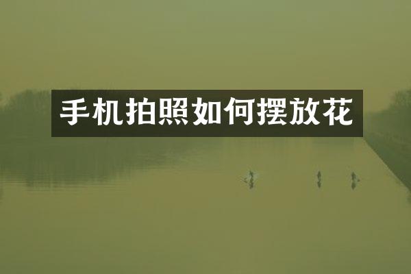 手机拍照如何摆放花