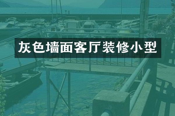 灰色墙面客厅装修小型