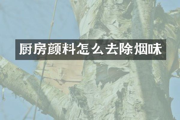 厨房颜料怎么去除烟味