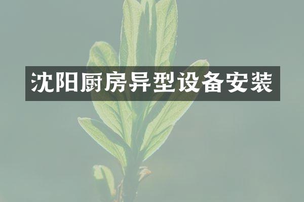 沈阳厨房异型设备安装