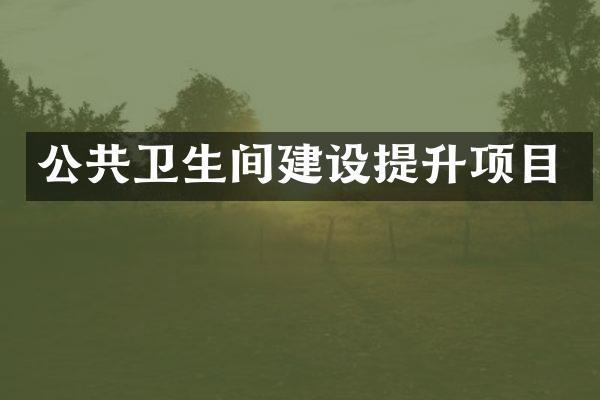 公共卫生间建设提升项目
