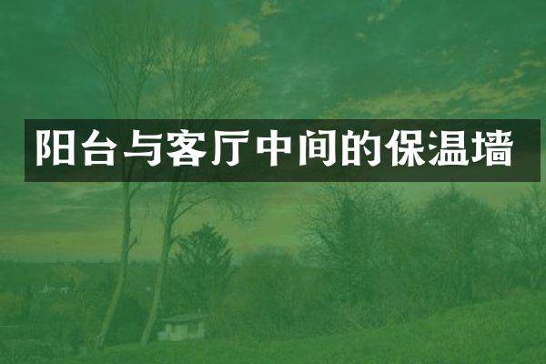 阳台与客厅中间的保温墙