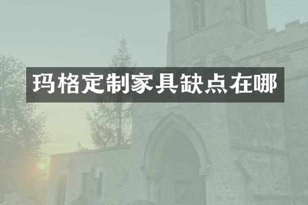 玛格定制家具缺点在哪