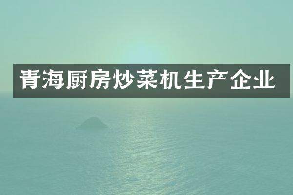 青海厨房炒菜机生产企业