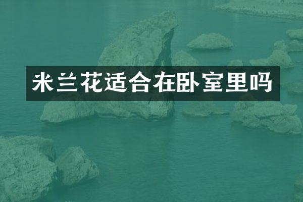 米兰花适合在卧室里吗