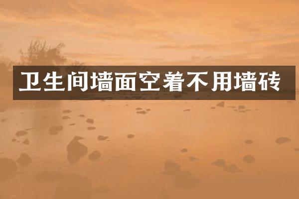 卫生间墙面空着不用墙砖