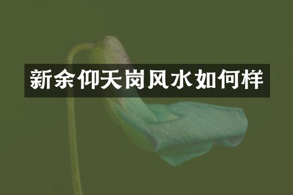 新余仰天岗风水如何样
