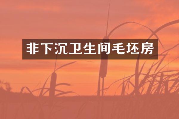 非下沉卫生间毛坯房