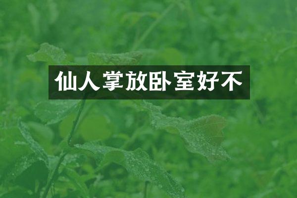 仙人掌放卧室好不