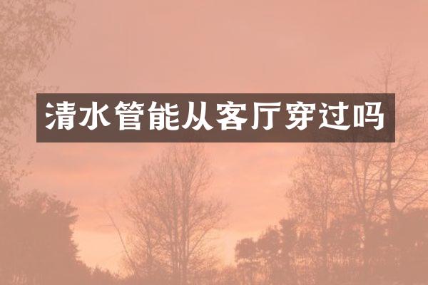 清水管能从客厅穿过吗