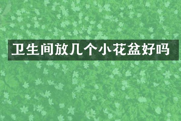 卫生间放几个小花盆好吗