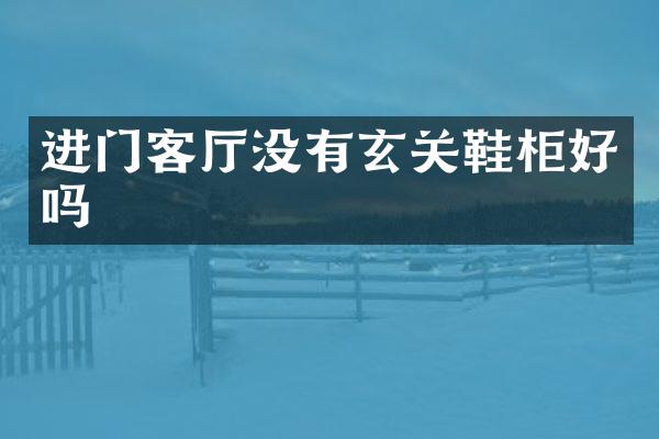 进门客厅没有玄关鞋柜好吗