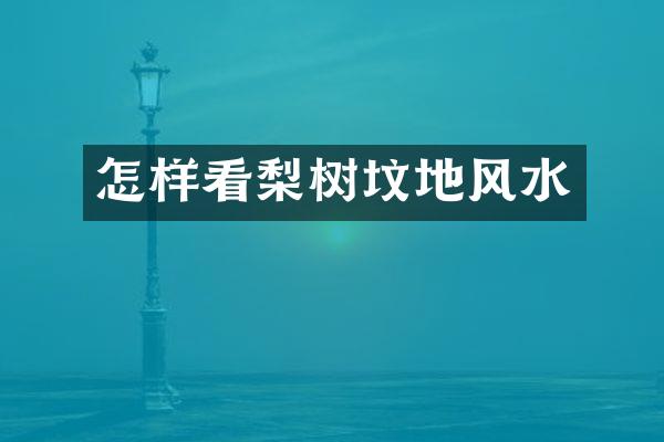 怎样看梨树坟地风水