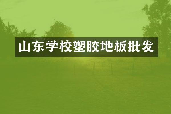 山东学校塑胶地板批发