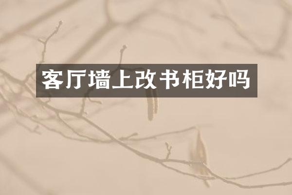 客厅墙上改书柜好吗