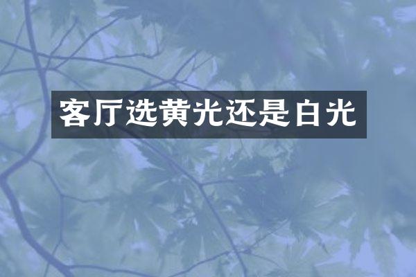 客厅选黄光还是白光