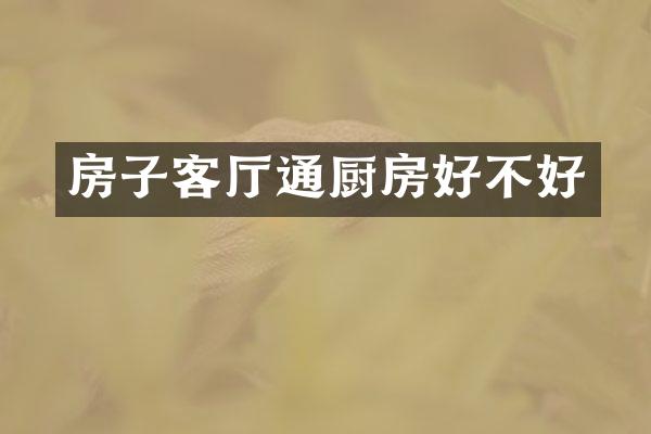 房子客厅通厨房好不好