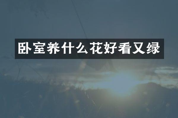 卧室养什么花好看又绿