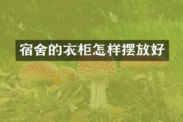 宿舍的衣柜怎样摆放好