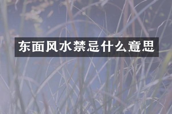 东面风水禁忌什么意思