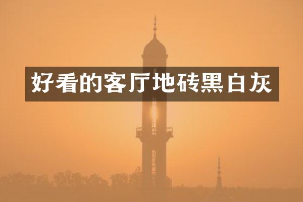 好看的客厅地砖黑白灰