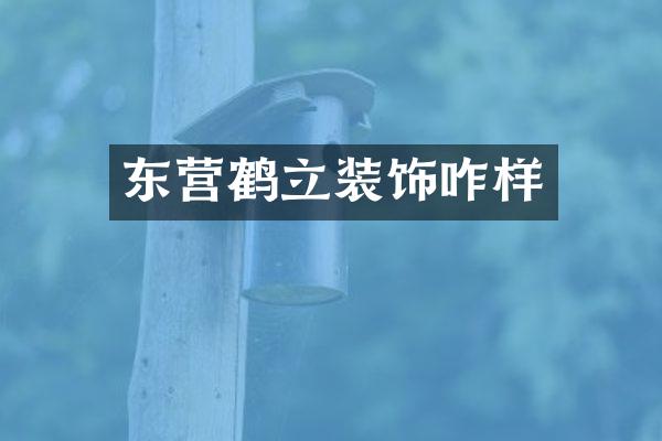 东营鹤立装饰咋样