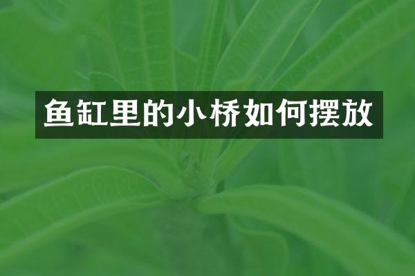 鱼缸里的小桥如何摆放