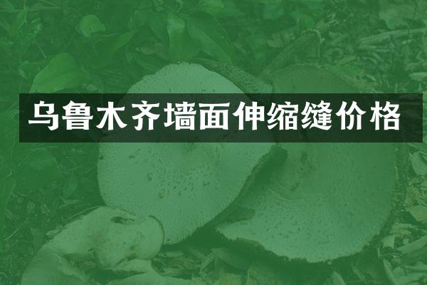 乌鲁木齐墙面伸缩缝价格