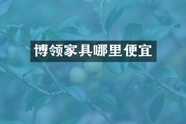 博领家具哪里便宜
