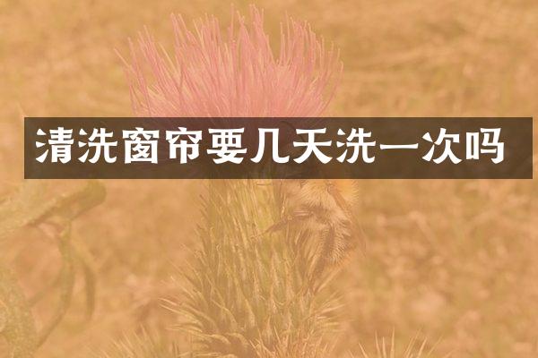 清洗窗帘要几天洗一次吗