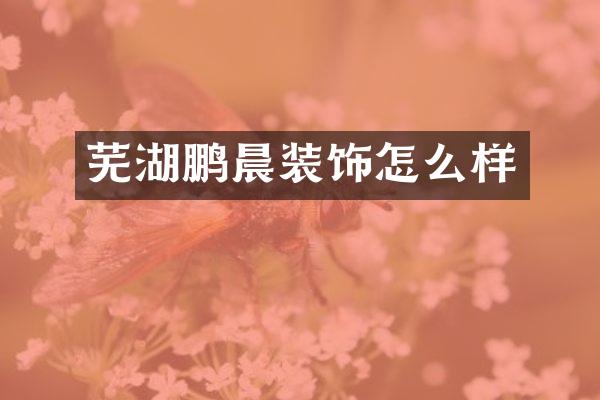 芜湖鹏晨装饰怎么样