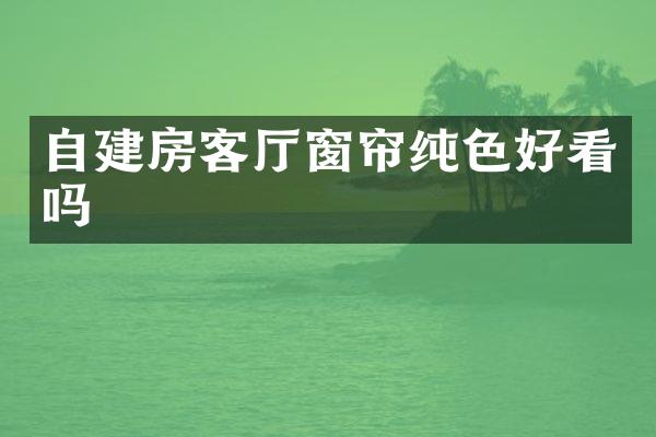 自建房客厅窗帘纯色好看吗