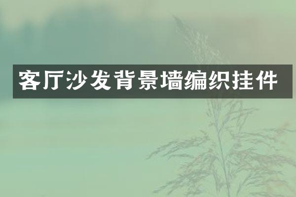 客厅沙发背景墙编织挂件