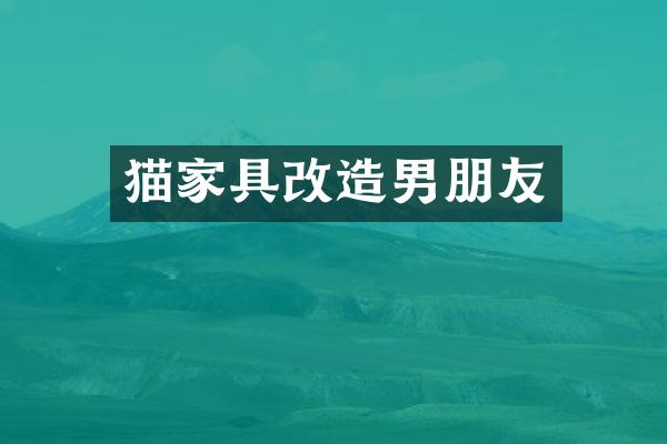 猫家具改造男朋友