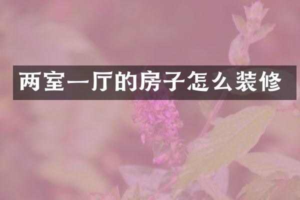两室一厅的房子怎么装修