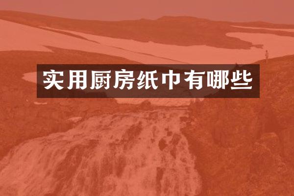 实用厨房纸巾有哪些