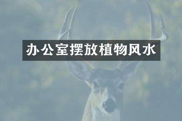 办公室摆放植物风水