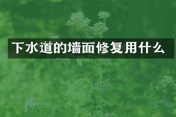 下水道的墙面修复用什么