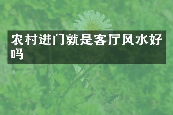 农村进门就是客厅风水好吗