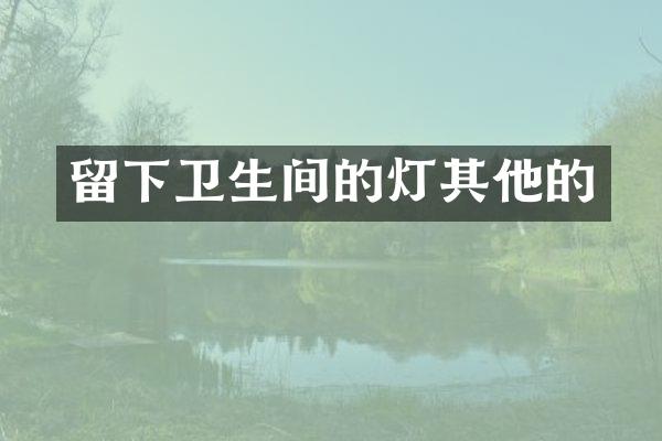 留下卫生间的灯其他的