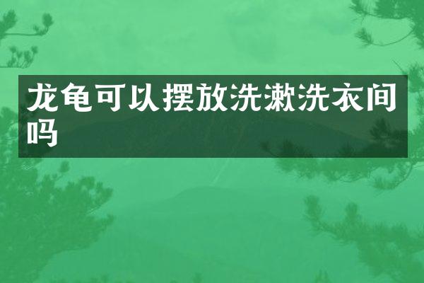 龙龟可以摆放洗漱洗衣间吗