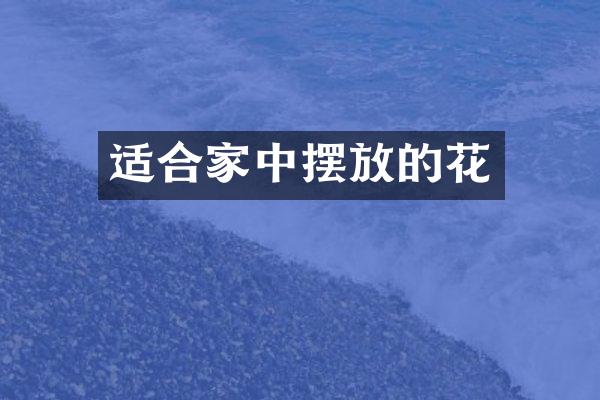 适合家中摆放的花