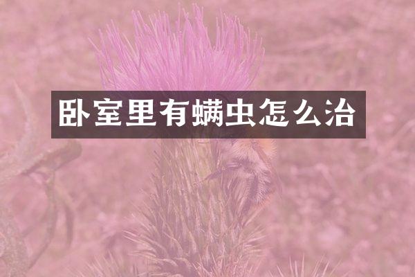 卧室里有螨虫怎么治