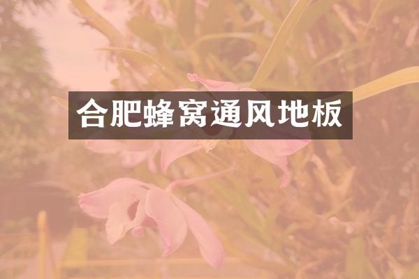 合肥蜂窝通风地板