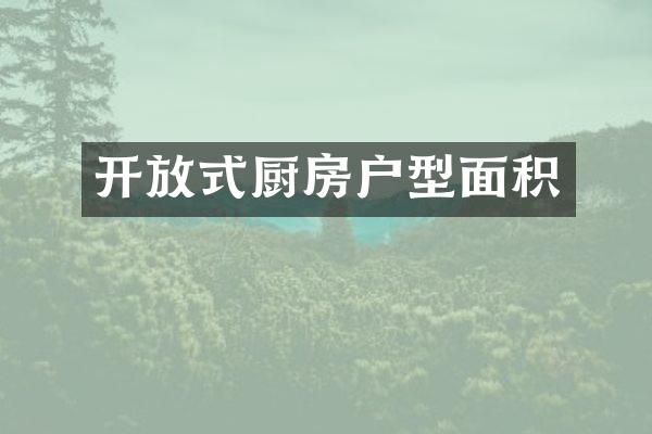 开放式厨房户型面积